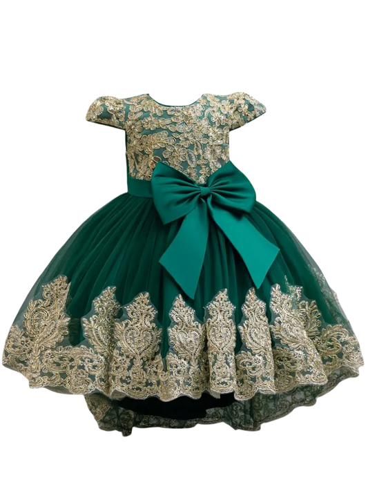 Embroided Princess Formal Puffy Dress